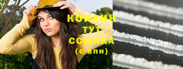 шишки Вяземский