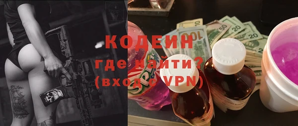 шишки Вяземский
