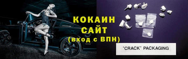 шишки Вяземский