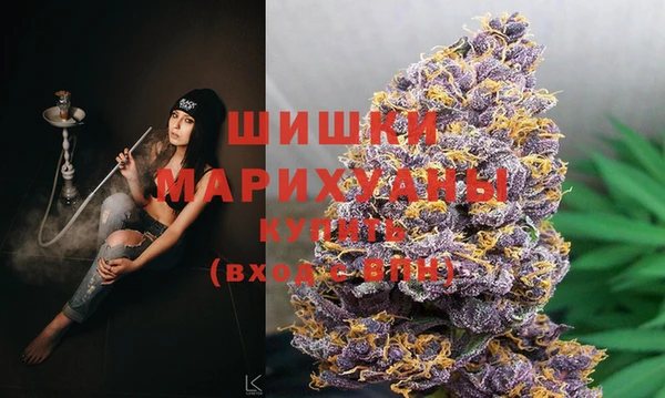 шишки Вяземский