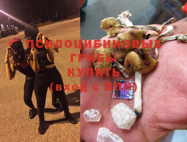 дмт Вязьма