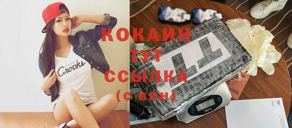 шишки Вяземский