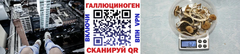 Псилоцибиновые грибы Psilocybine cubensis  цены наркотик  Пермь 